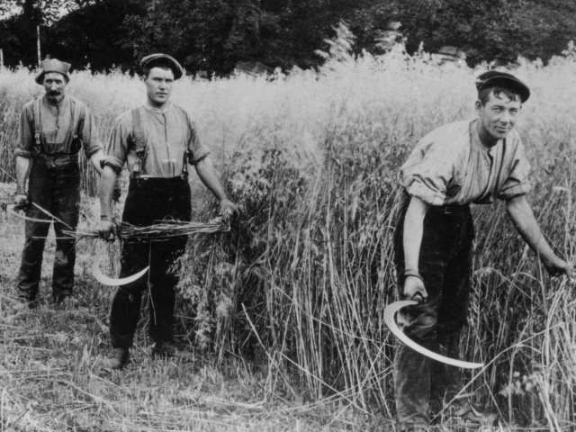Image result for agricultural labourers ireland