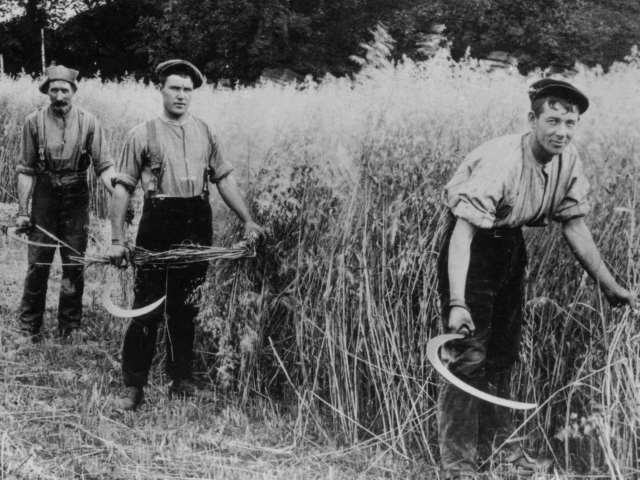 agricultural labourers ireland