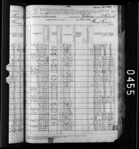 Thomas O’Mara as recorded on the 1880 US census