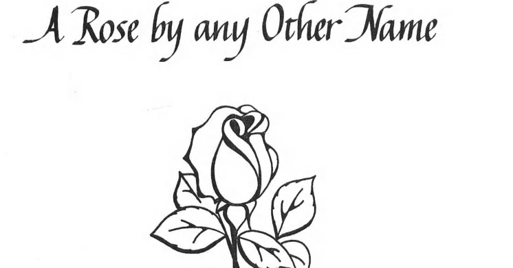 Picture of a Rose