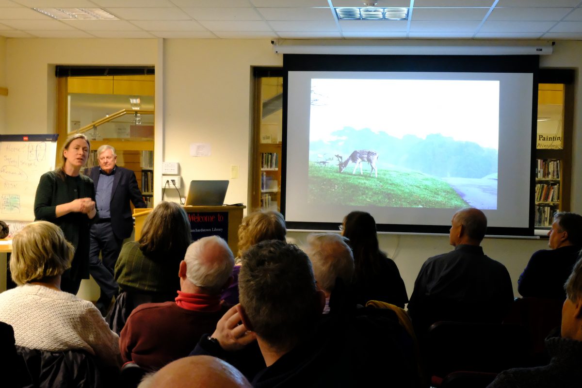 Developing research skills in Irish Family History: Intermediate to advanced.