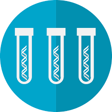 DNA Test for genealogy research