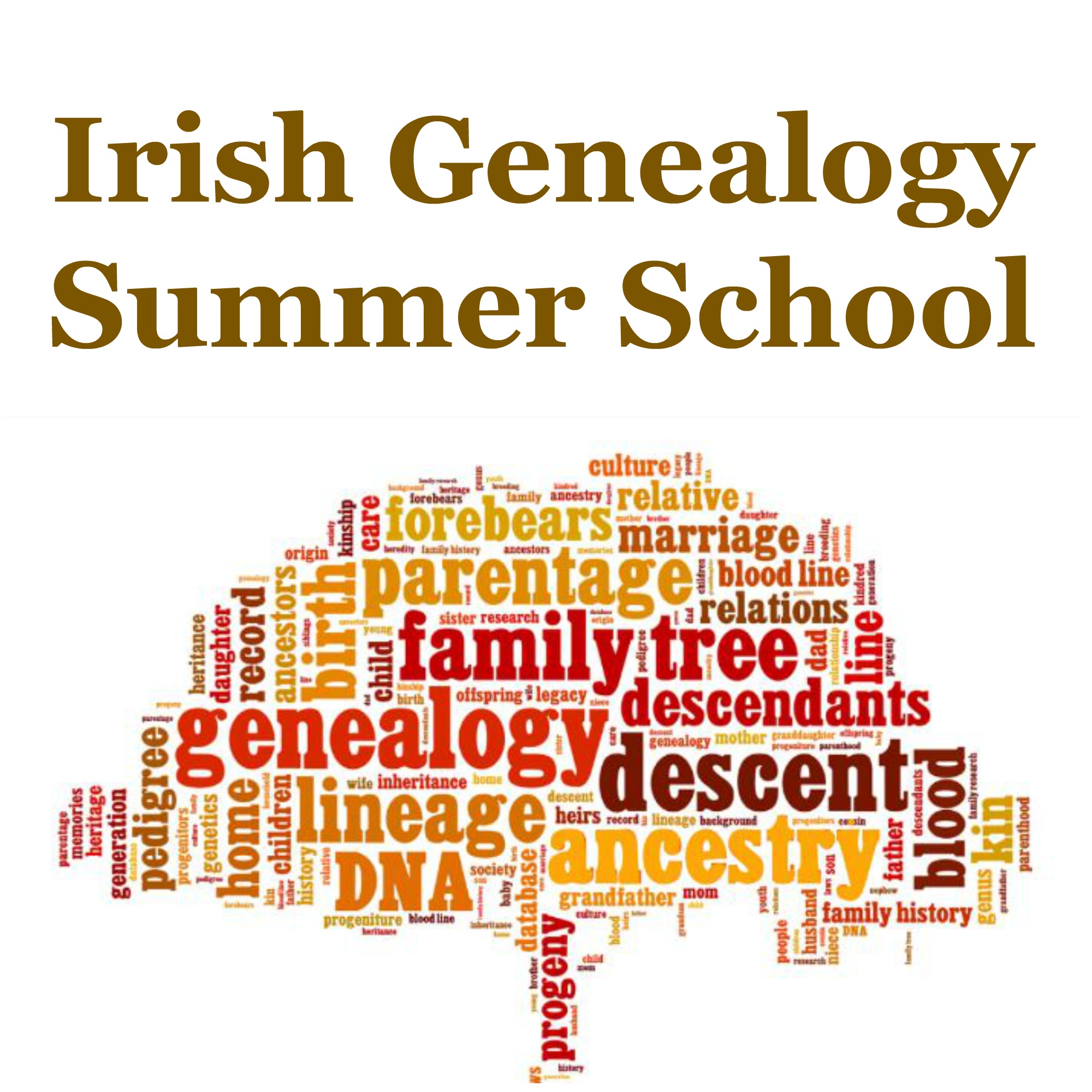 Irish Genealogy Summer Schools