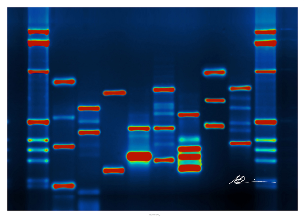 Using DNA to expand family tree