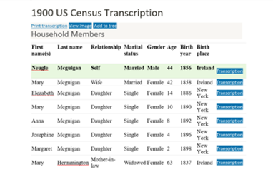 1900 US census transcription