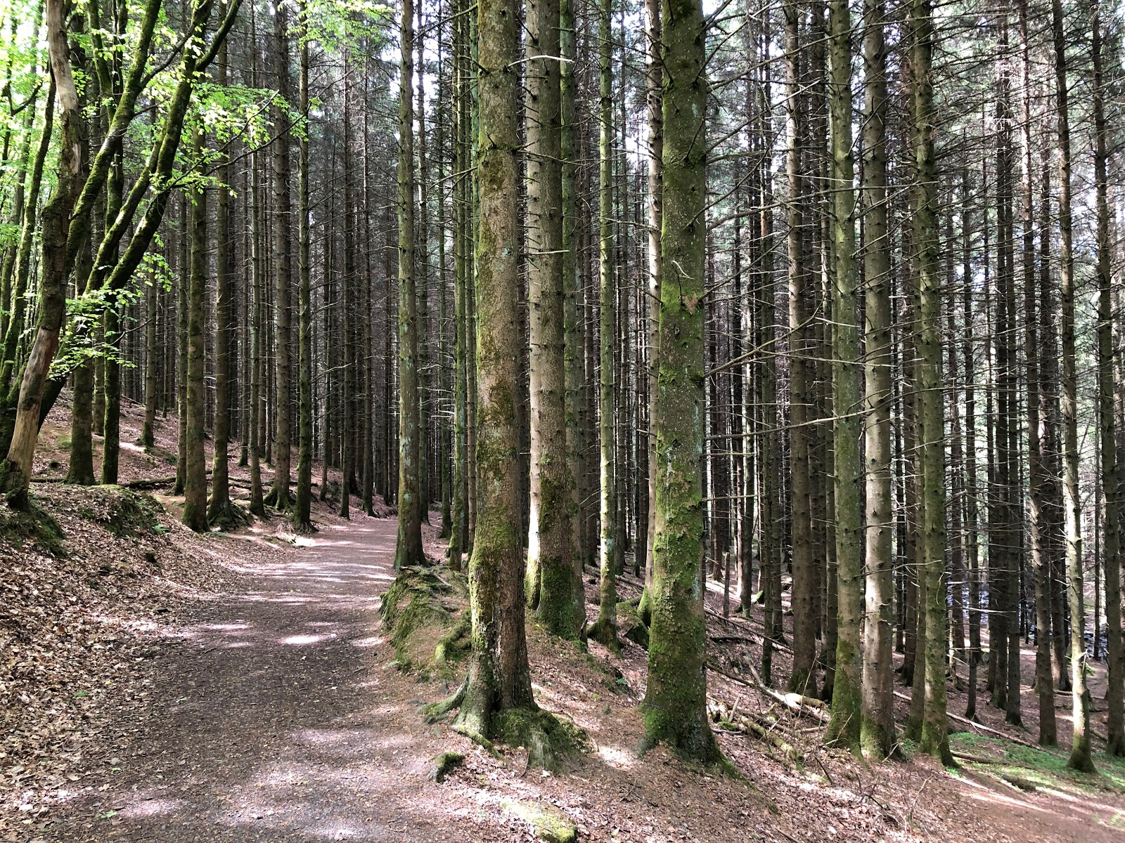 walk to Glenbarrow Waterfall