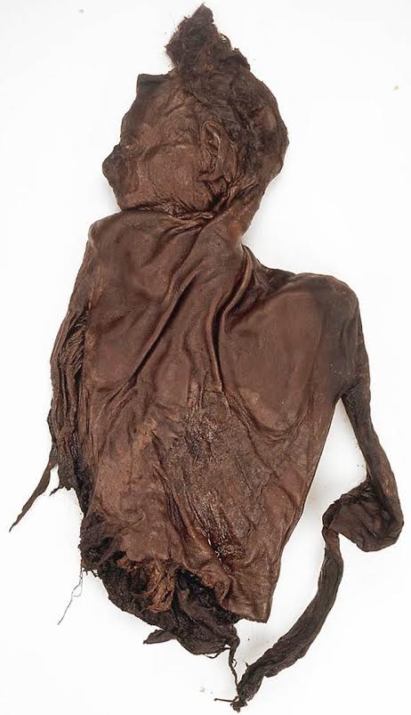 Bog body