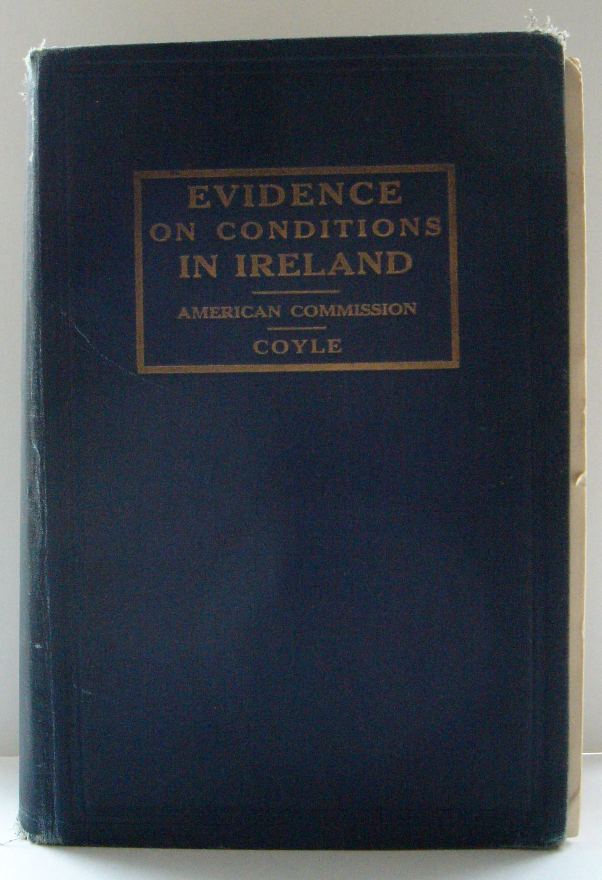 The American Commission on Conditions in Ireland, Evidence on Conditions in Ireland